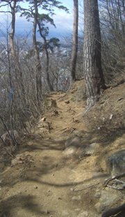 b0099994_16571445.jpg