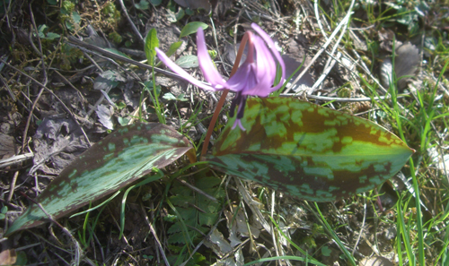 b0099994_16574690.jpg