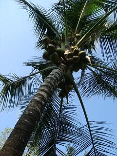 e0184598_1757253.jpg