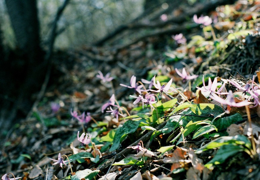 f0220698_2218880.jpg