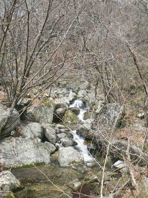f0164503_1215493.jpg