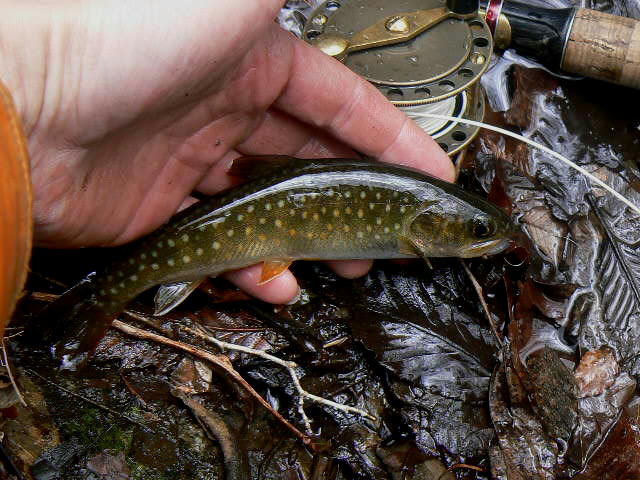 f0164503_12222465.jpg