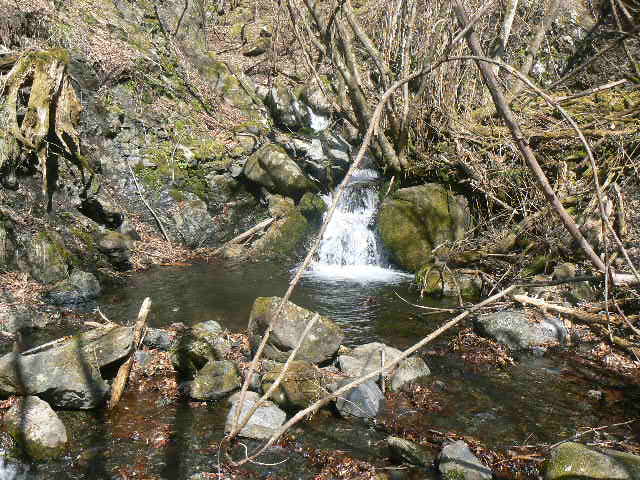 f0164503_12274043.jpg