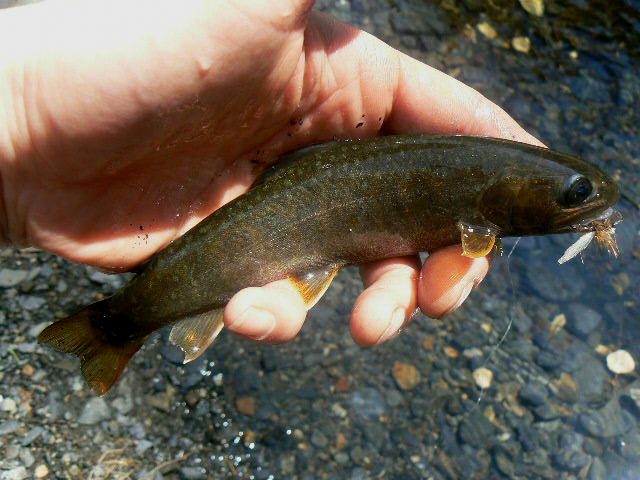 f0164503_12413014.jpg