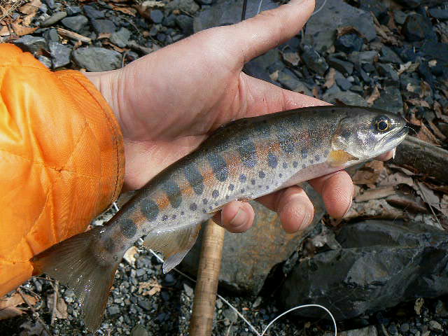 f0164503_12443615.jpg