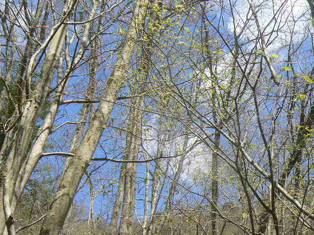 f0164503_12575240.jpg