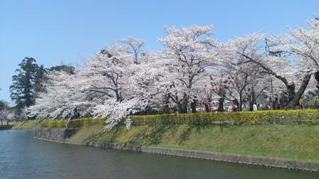 b0079206_23502119.jpg