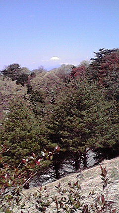 f0112506_202143.jpg