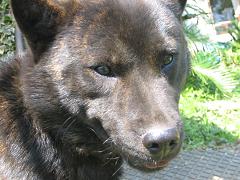 f0077807_2013063.jpg