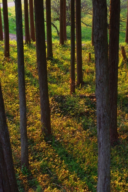 c0156908_221762.jpg