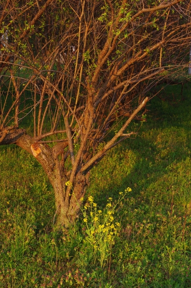c0156908_2218015.jpg