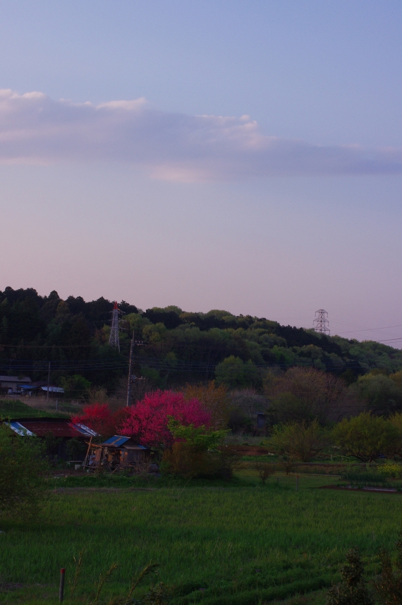 c0156908_22201659.jpg