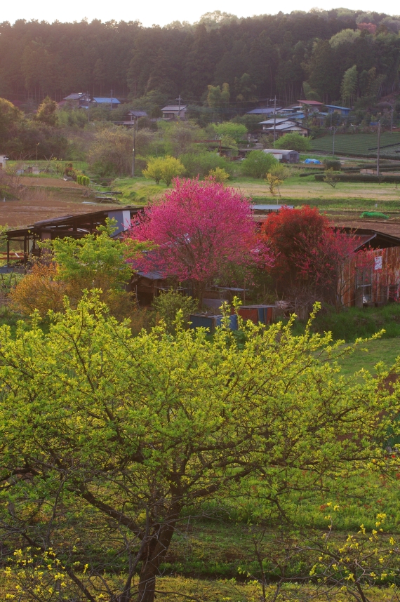 c0156908_22213457.jpg