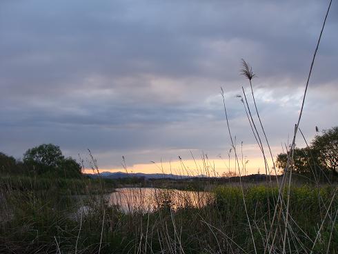 e0123808_13264122.jpg