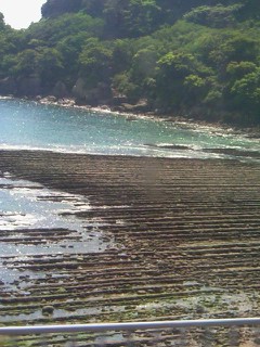 f0042008_1341528.jpg