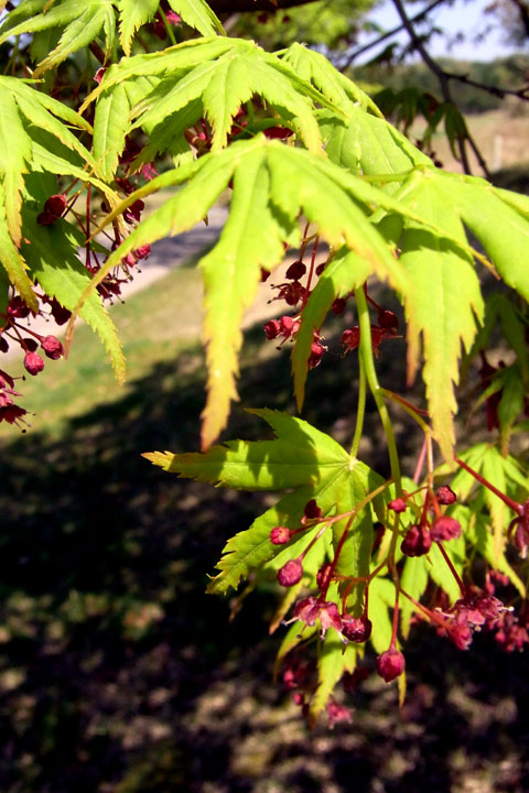e0083517_2029441.jpg