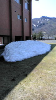 e0060919_2159398.jpg