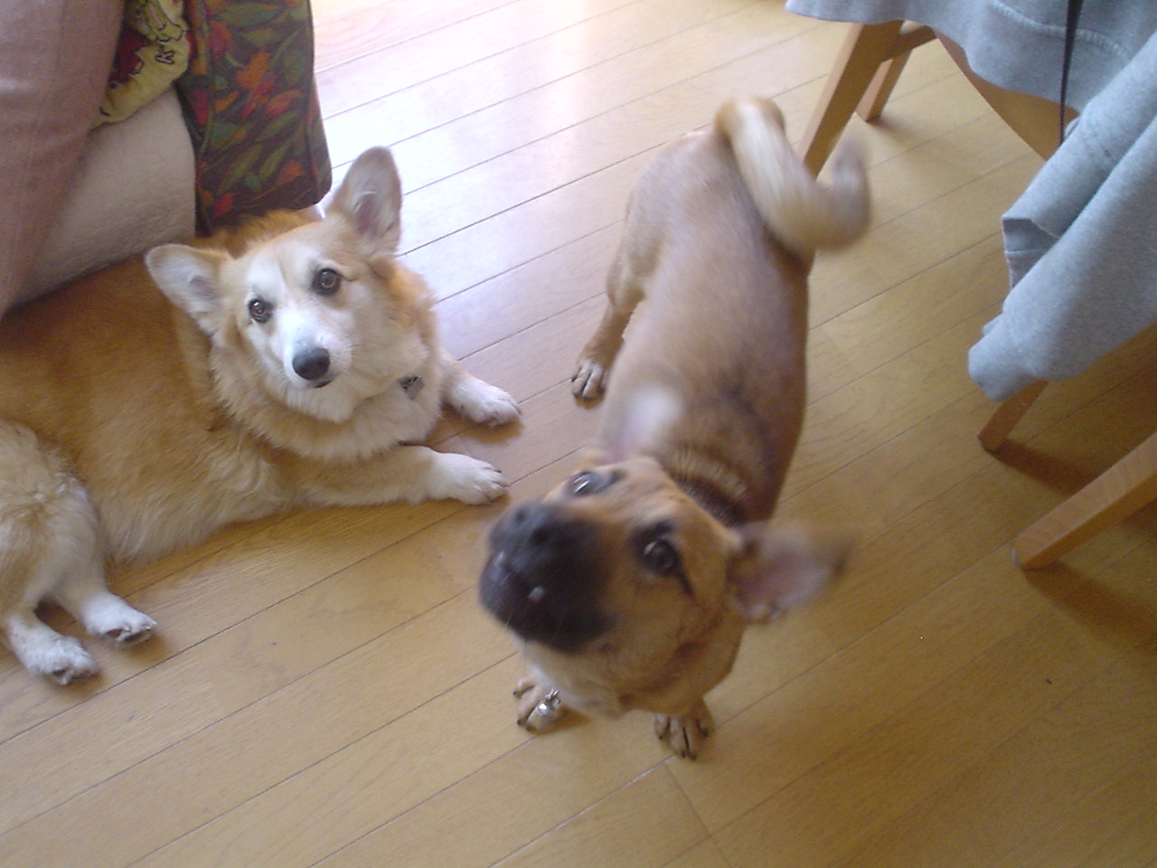 c0150520_2256118.jpg
