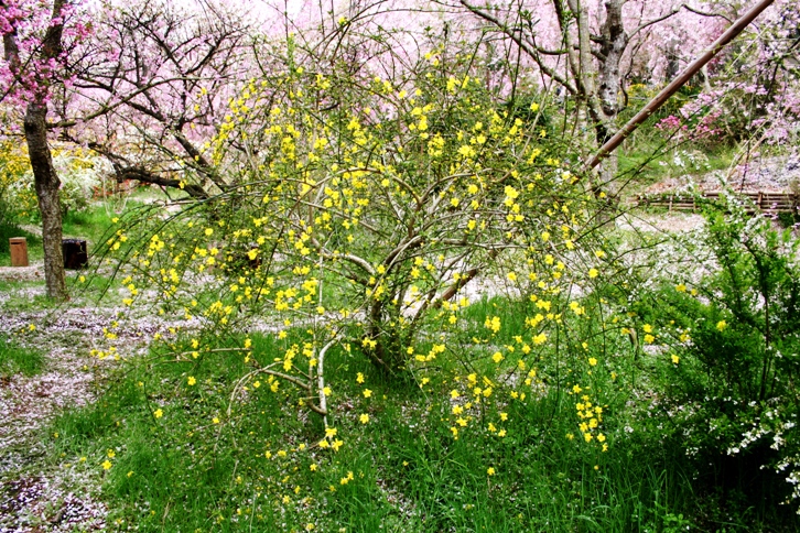 d0027320_1434347.jpg