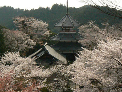e0148120_0325315.jpg