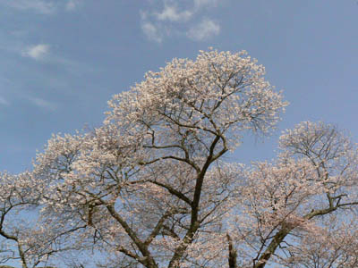 e0148120_033285.jpg