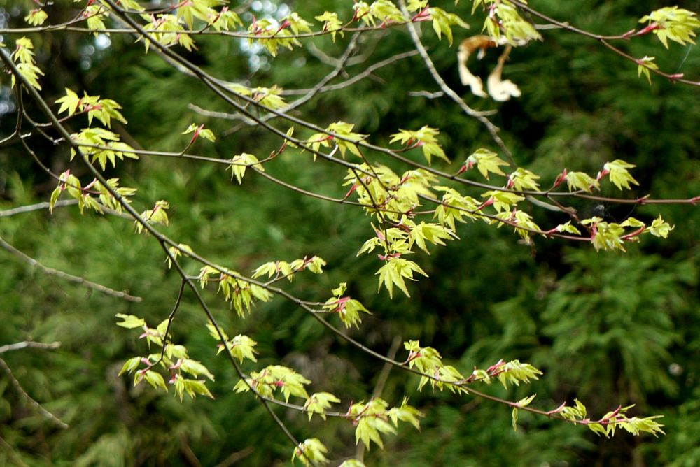 f0140720_255564.jpg