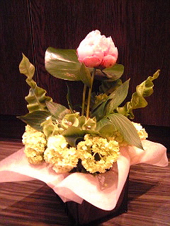 a0052621_22463130.jpg