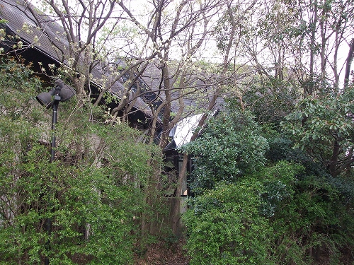 e0006321_0374034.jpg