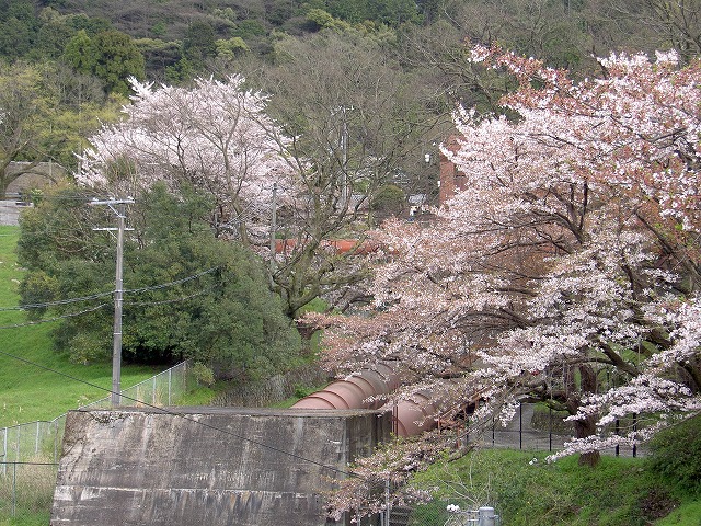 e0184921_18323224.jpg