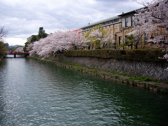e0184921_1834767.jpg