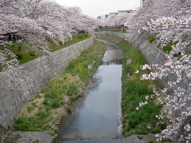 e0184921_1853679.jpg