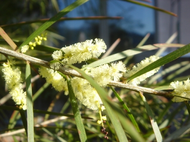 f0054421_8173630.jpg