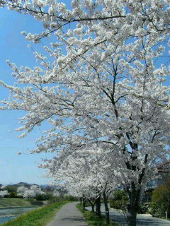 c0074025_17112717.jpg