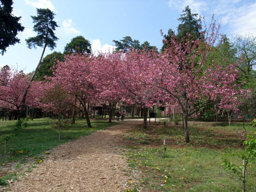 f0147025_8123915.jpg
