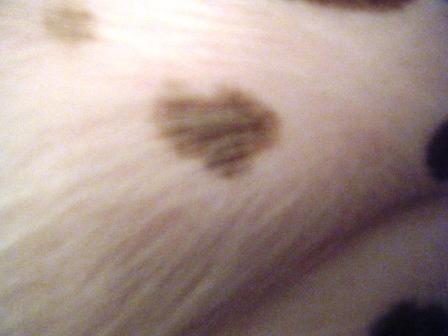 e0024126_16251181.jpg