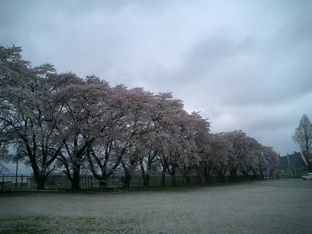 c0114833_22453397.jpg