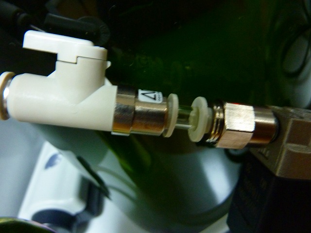 a0121134_1012767.jpg