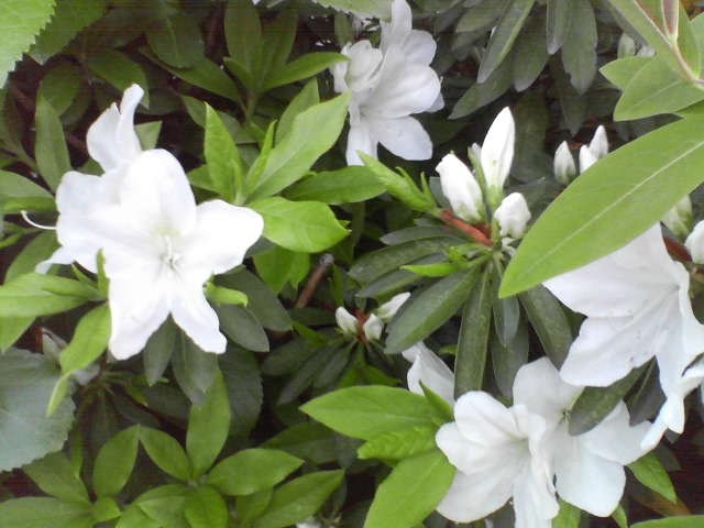 f0237037_1817147.jpg