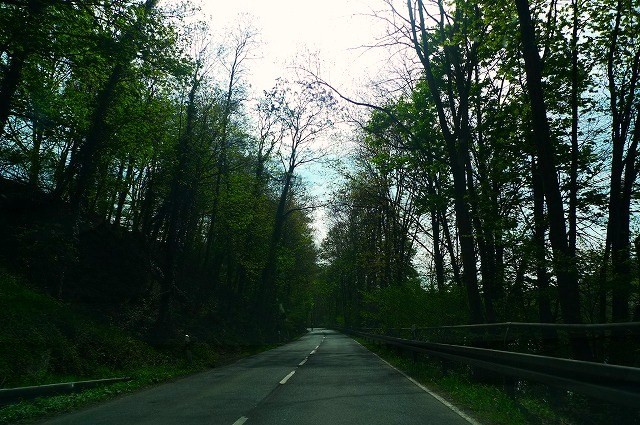c0153740_18211038.jpg