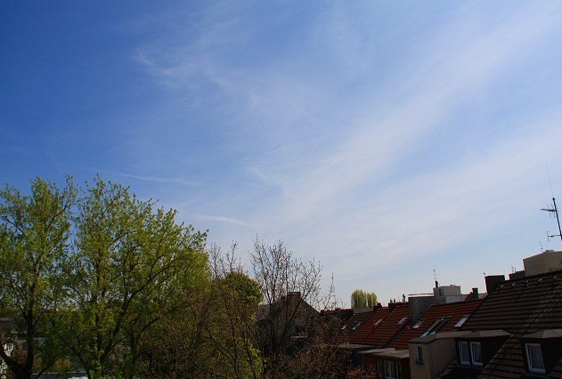 c0153740_415494.jpg