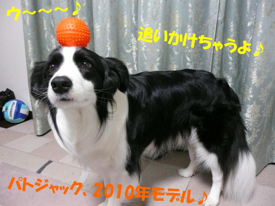 c0147241_21225596.jpg