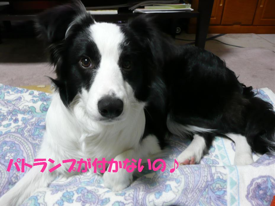 c0147241_21232438.jpg
