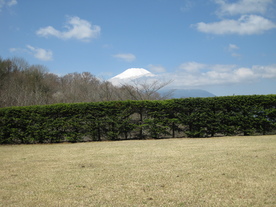 b0152442_1810343.jpg