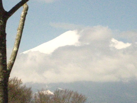 b0152442_1894016.jpg