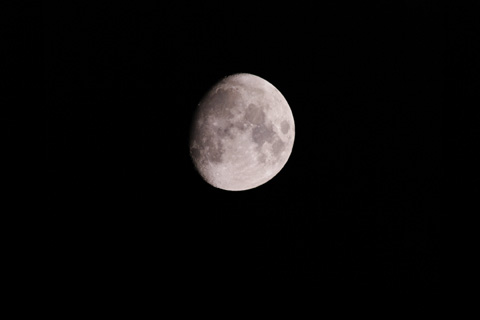 e0168342_23393445.jpg