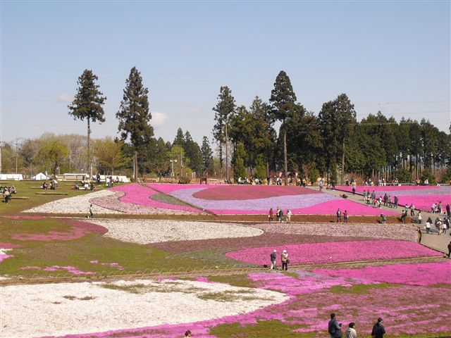 d0132743_15465113.jpg