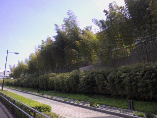 a0094449_9421570.jpg