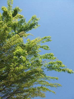 f0068649_21114846.jpg