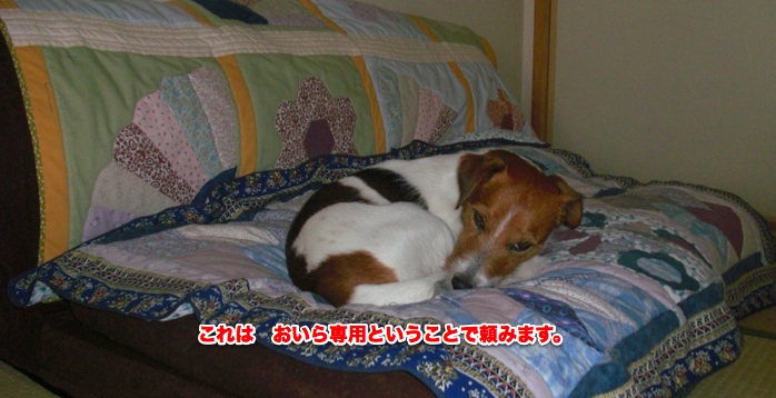 f0077150_1012754.jpg