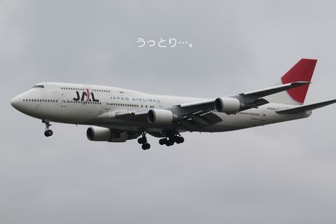 a0090451_2243310.jpg